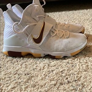 Lebron 14